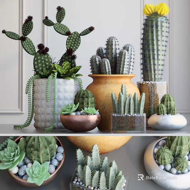 Decorative Cactus And Succulent Potted Plants In Various Ceramic Pots On Shelf 3d model 
