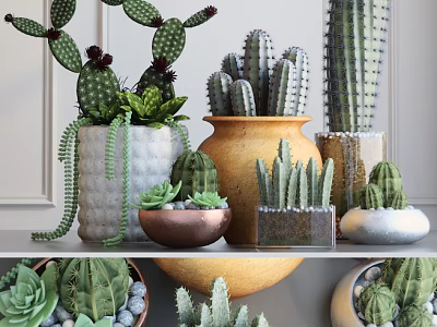 Decorative Cactus And Succulent Potted Plants In Various Ceramic Pots On Shelf 3d model