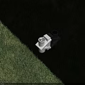 Wall Mounted Outdoor Light Providing Bright Illumination On Exterior Wall And Green Grass