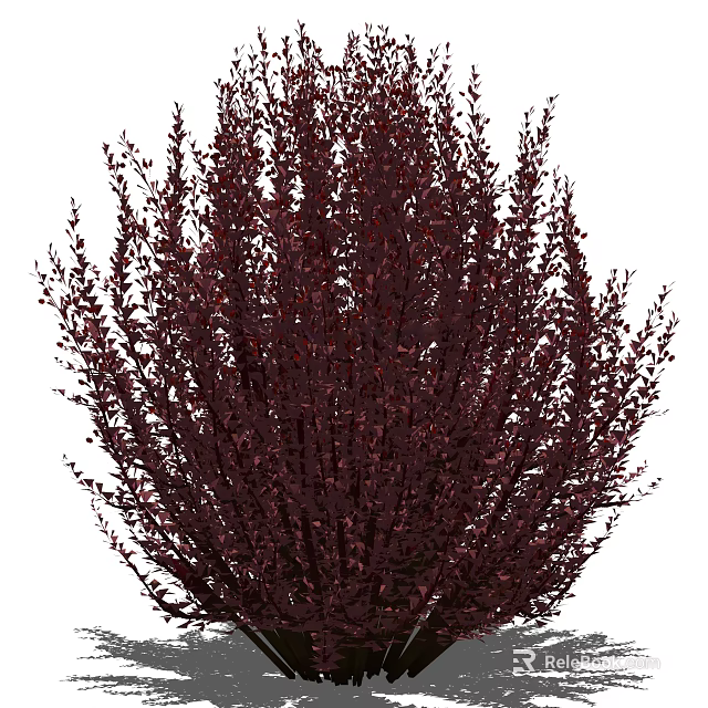 Deep Red Garden Shrub with Lush Foliage and Vibrant Leaf Texture 3d model 