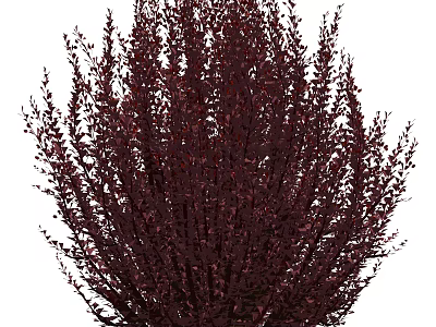 Deep Red Garden Shrub with Lush Foliage and Vibrant Leaf Texture 3d model