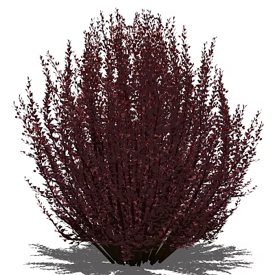Modern shrubs 3d model