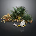 Green And Gold Palm Plants With Shells And White Pebbles Decorative Arrangement