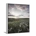 Scenic Landscape Painting of Meadow with White and Pink Flowers Distant Hills and Sunset Sky