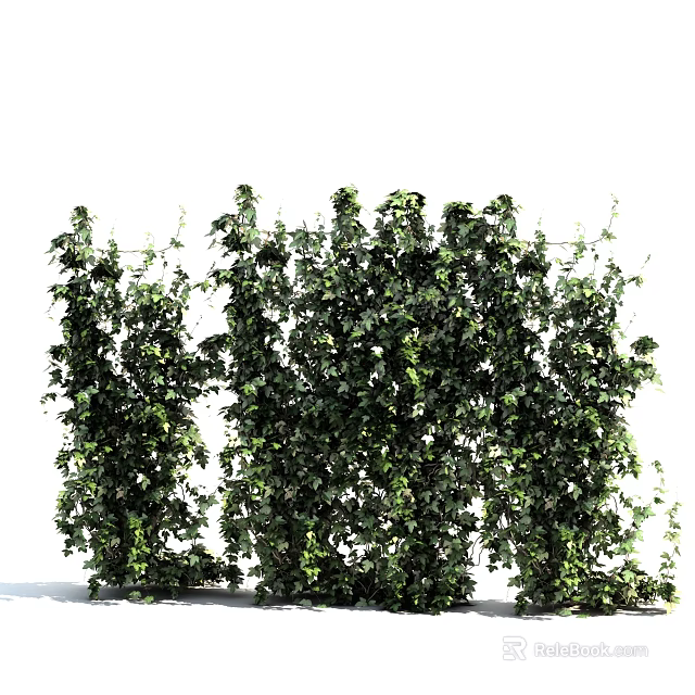 Lush Green Vines With Leafy Foliage As Natural Outdoor Wall Decor 3d model 