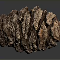 Organic Walnut Food With Rough Brown Texture And Natural Healthy Appearance