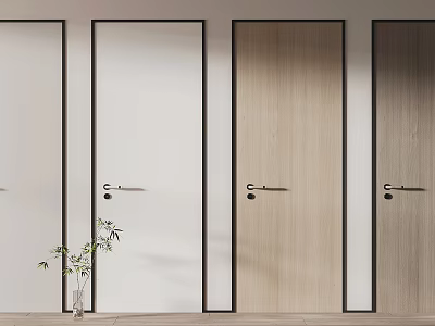 Modern Hinged Doors with Black Frames Wooden and White Finishes in Interior with Potted Plant 3d model