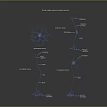 Neuron Structure Diagram Displaying Cell Body Axon And Dendrites In Nervous System 3d model