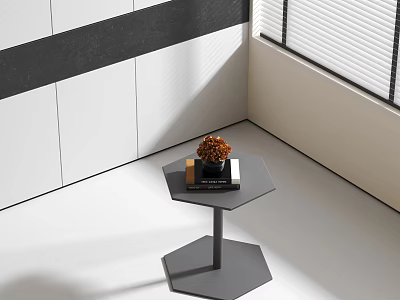 Modern Hexagonal Gray Corner Table With Decorative Flower And Book In Living Room 3d model