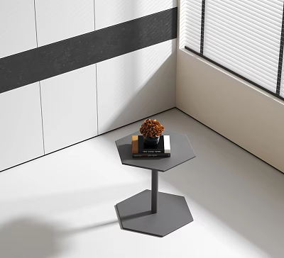 Modern Hexagonal Gray Corner Table With Decorative Flower And Book In Living Room 3d model