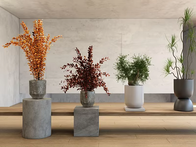 modern potted plant potted plant 3d model