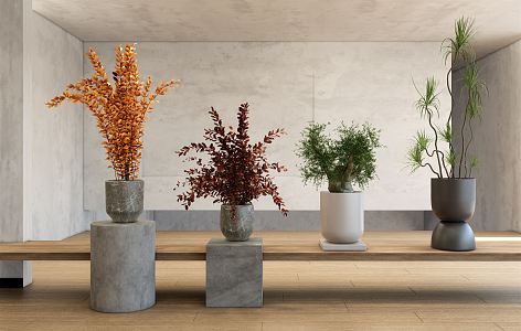 modern potted plant potted plant 3d model