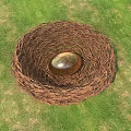 Natural Bird Nest With Shiny Golden Egg On Green Grass Field