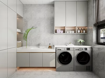 Modern Minimalist Laundry Room Interior With White Cabinets Washing Machines Sink And Palm Leaf 3d model