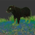 Black Panther Standing In Lush Green Grass With Striking Red Eyes