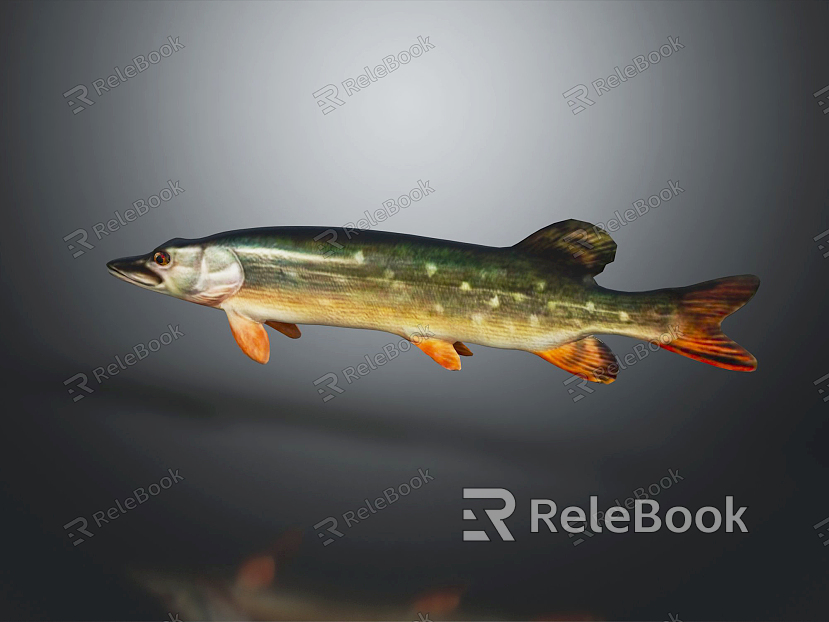 modern pike marine fish deep sea fish model