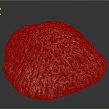 Coral Red Coral White Coral Blue Coral Gold Coral Black Coral Ball Coral Grass Coral Fine Finger Anemone 3d model