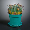 Healthy Thorny Cactus With Green And Yellow Body In Teal Pot With Saucer