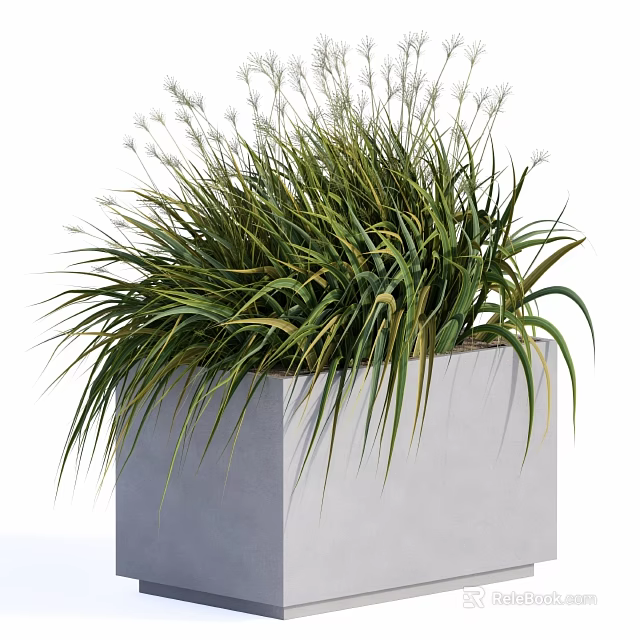 Decorative Ornament Set with Gray Square Planter Green Grass like Plants and White Flower Spikes 3d model 