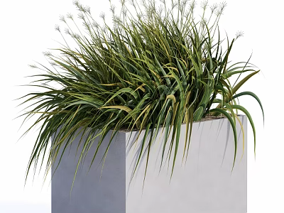Decorative Ornament Set with Gray Square Planter Green Grass like Plants and White Flower Spikes 3d model
