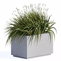 Decorative Ornament Set with Gray Square Planter Green Grass like Plants and White Flower Spikes