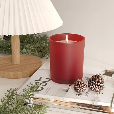 Decorative Ornaments Set With Red Candle Pine Cones Green Foliage And Magazine 3d model