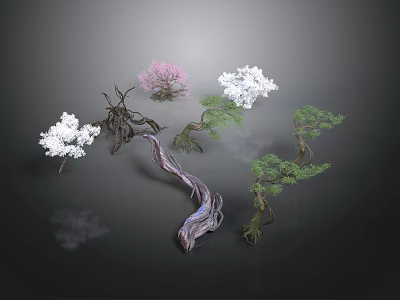 Various Colorful Decorative Plants With Pink White Green Blooms And Curved Branches 3d model