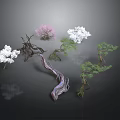 Various Colorful Decorative Plants With Pink White Green Blooms And Curved Branches
