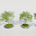 Modern Circular Tree Pit Design With Green Grass And Leafy Trees 3d model