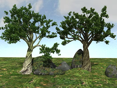 Tall Trees With Thick Trunks Lush Green Canopies And Stones On Grassland Under Cloudy Sky 3d model
