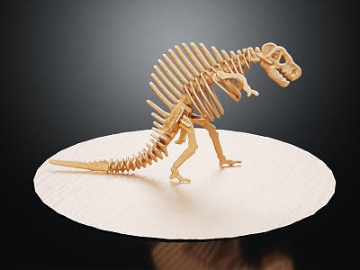 Modern Skeleton Dinosaur Skeleton 3d model