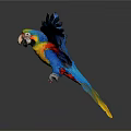Colorful Parrot With Spread Wings And Vibrant Feathers On Gray Background