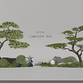 Garden Landscape Design With Pine Trees Stones And Lush Green Bushes