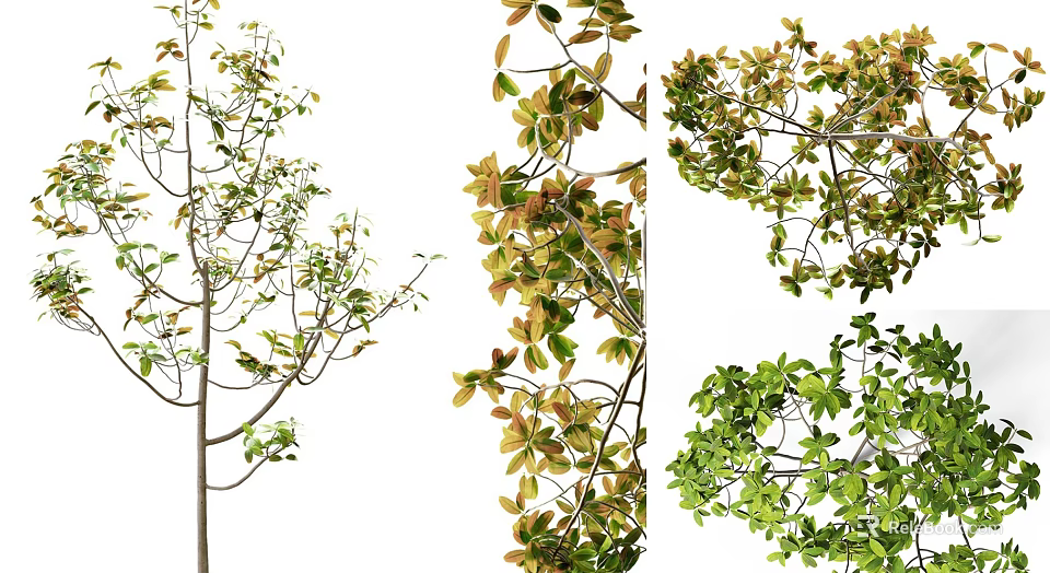 Lush Arbor With Green And Yellow Foliage And Spreading Branches In Landscape 3d model 