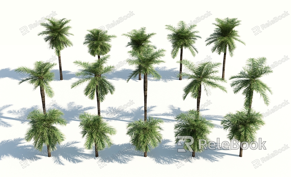 Modern Palm Tree model