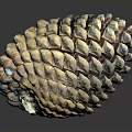 Vibrant Pine Cone with Yellow and Blue Accents and Scaly Texture on Black Background