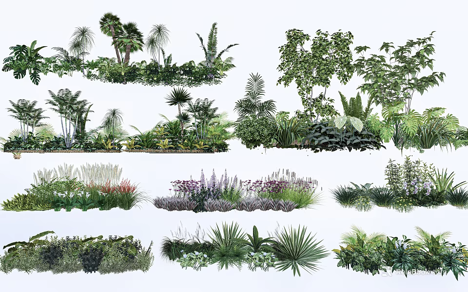 Various Shrubs Types for Garden Landscaping with Lush Green Foliage 3d model 