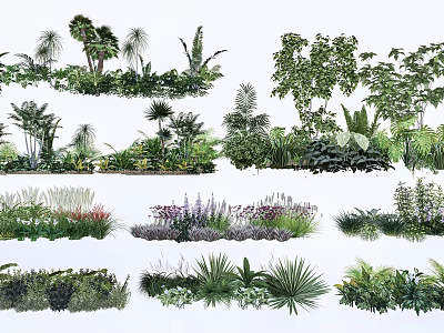 Various Shrubs Types for Garden Landscaping with Lush Green Foliage 3d model