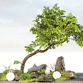 New Chinese style courtyard sketch modeling tree landscape tree stone micro terrain 3d model