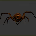 Close Up View Of Large Brown Spider On Gray Background With Long Legs