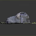 Garden Landscape Design Featuring Natural Large Rock Surrounded by Green Grass and Fallen Leaves