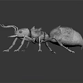 Flying Ant 3D Render With Gray Exoskeleton Long Legs And Reflection On Dark Surface 3d model