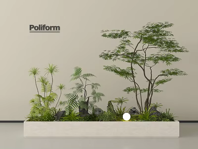 Modern Plant Arrangement With Tall Trees Low Shrubs Ferns In White Rectangular Planter 3d model