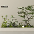 Modern Plant Arrangement With Tall Trees Low Shrubs Ferns In White Rectangular Planter