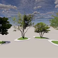 Outdoor Tree Pits With Green Grass White Borders And Leafy Trees Under Blue Sky