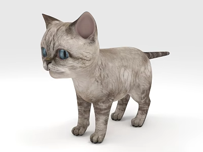 Kitten Cat Animal Pet 3d model