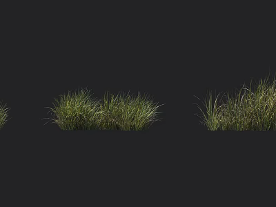 Lush Green Natural Grass Clumps For Outdoor Landscaping And Garden Decoration 3d model