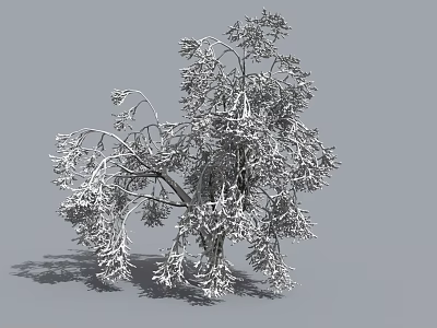 Snow Covered Arbor With Frosted Branches In Natural Winter Landscape 3d model
