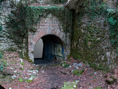 Ancient Stone Bridge Archway Covered in Moss Vegetation with Fallen Leaves Gravel and Graffiti Inside 3d model