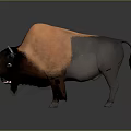 Bison 3D Render With Orange And Gray Fur Horns Standing On Gray Background